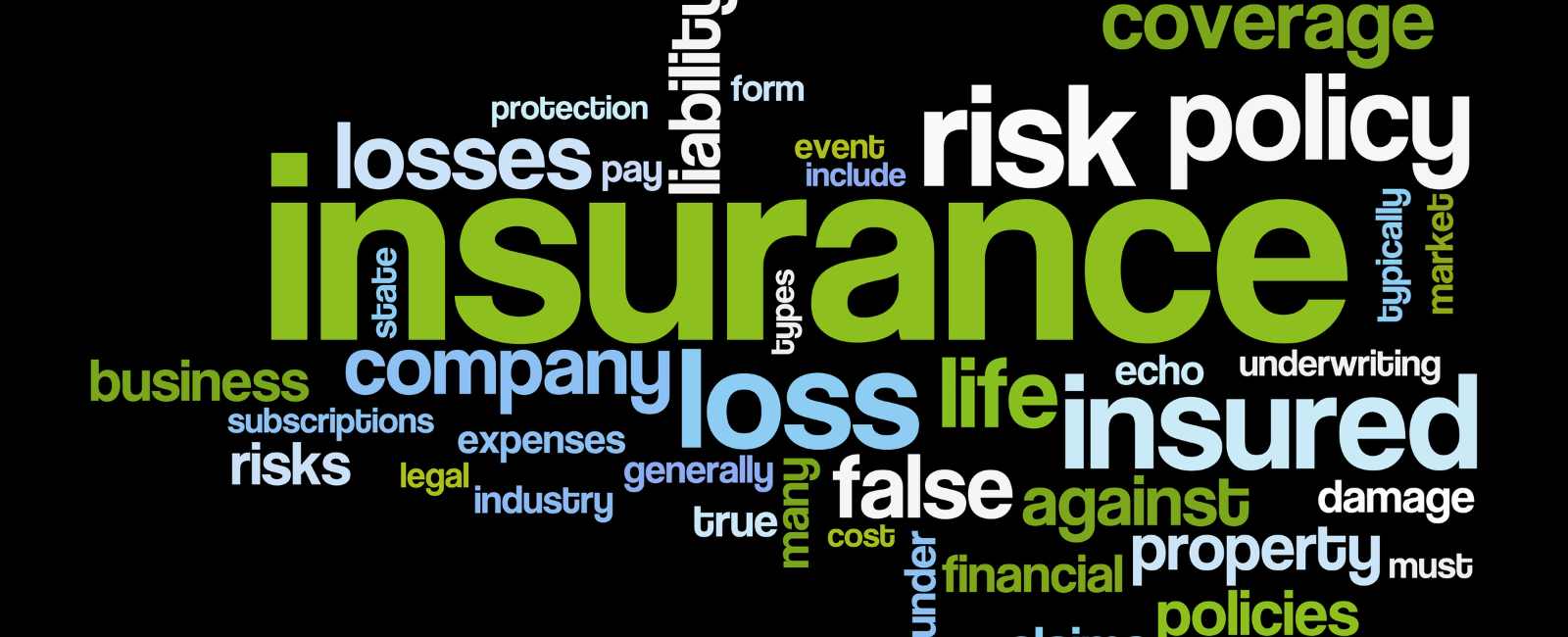 Factors Influencing the Cost of D&O Insurance